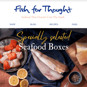 🐟 Seafood Boxes - sustainable fish for less