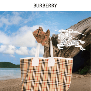 Bags in Burberry Check