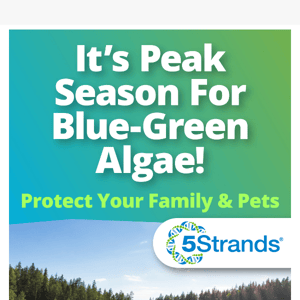 Avoid harmful blue-green algae this season! ☀️