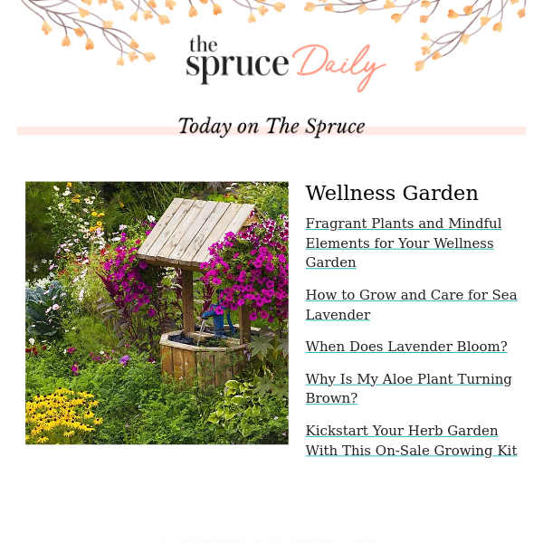 Fragrant Plants and Mindful Elements for Your Wellness Garden