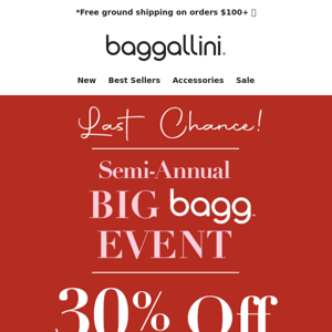 Last Chance 👜 30% off EVERYTHING Big Bagg Sale
