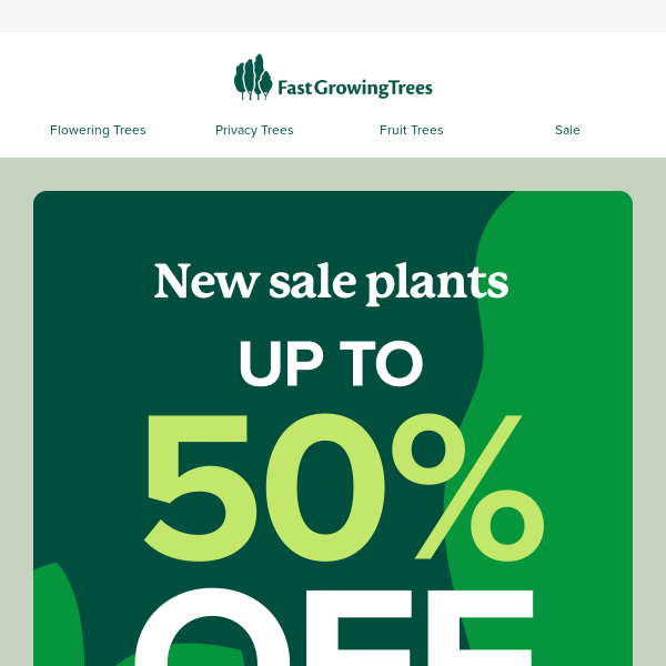 NEW sale plants just added.