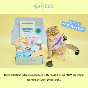 💛 Get 'BEST CAT MUM' box by Mother's Day