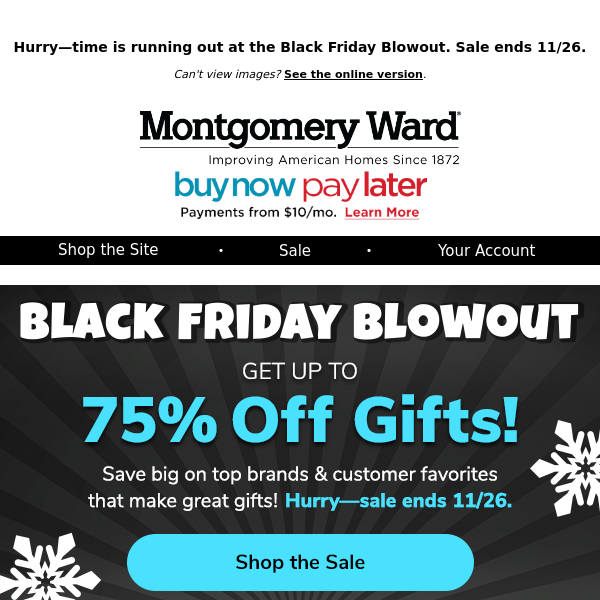 LAST DAY! Get Up to 75% Off at the Black Friday Blowout!