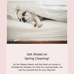Spring Cleaning, for Dogs 🐶✨