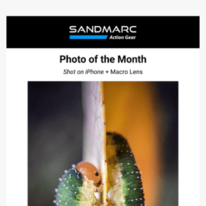 Photo of the Month - October