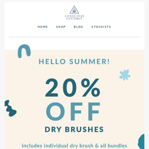 Glow Up with 20% Off Dry Brushes ☀️