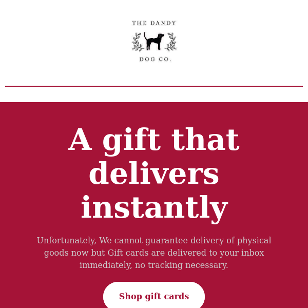 Beat the stress of Christmas Shipping with an E Gift Voucher