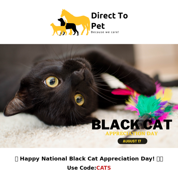 🖤 Celebrate National Black Cat Appreciation Day! 🐾🌟