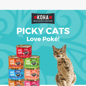 [EXPIRES TONIGHT] 20% Off Tuna Poké Bowl Cans for Cats