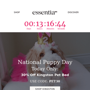 We're Celebrating National Puppy Day & You're Invited!