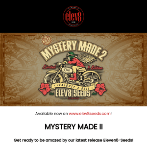 🚀 Elev8-Seeds Launches Mystery Made II: Better, Bigger, and More Potent! 🌱