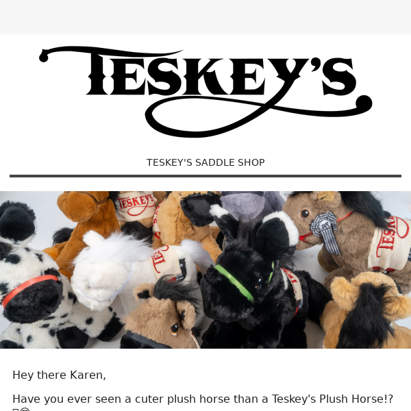 RESTOCKED! Huggable Teskey's Plush Horses 🤗🐴