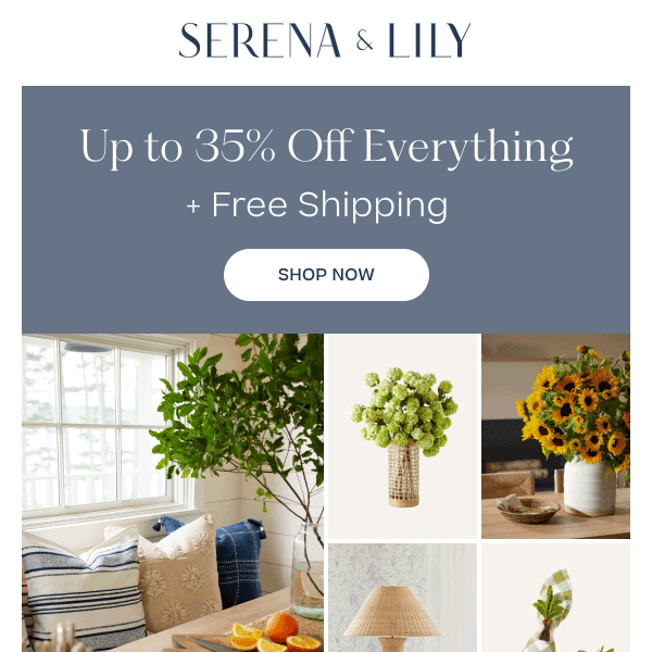 Small moments, a big sale + free shipping.