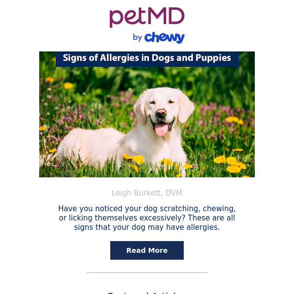 Signs of Allergies in Dogs and Puppies