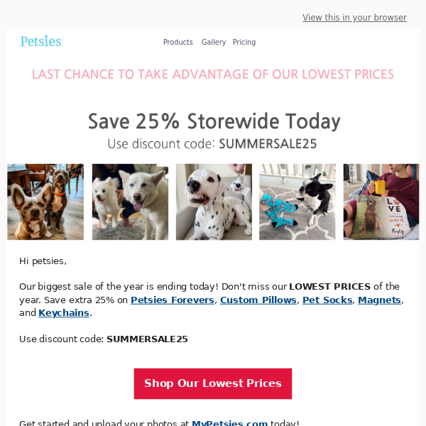 Last Chance to Save 25% on Petsies Products!