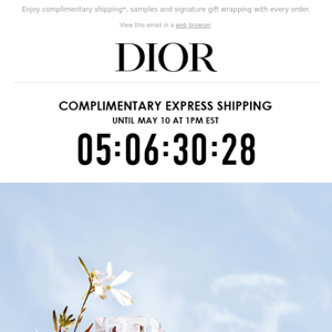 Express Shipping Starts Today