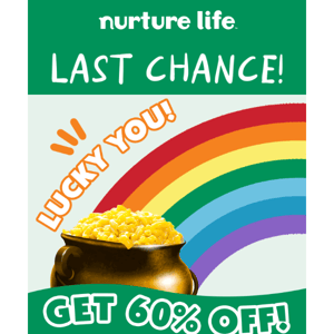 Last Chance for 60% OFF!