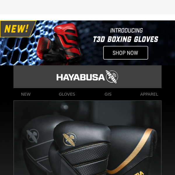 Choosing Your Next Boxing Gloves