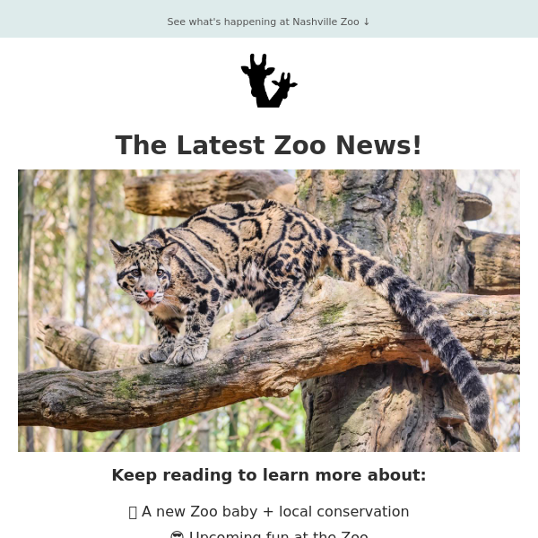 Nashville Zoo COUPON CODES + 5 WAYS TO SAVE in July 2023