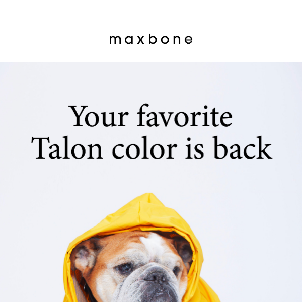 You Asked For It: Your Favorite Color Is Back