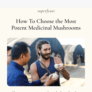 How to choose the most potent medicinal mushrooms