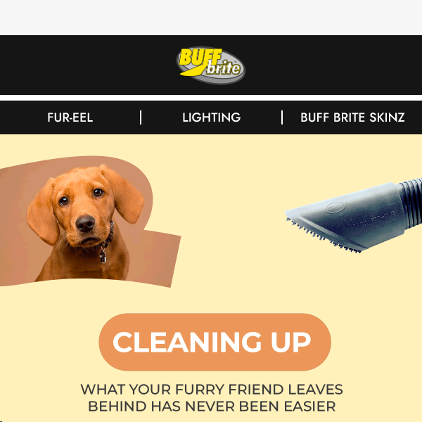 Want to Get Rid of Pet Hair for Good?