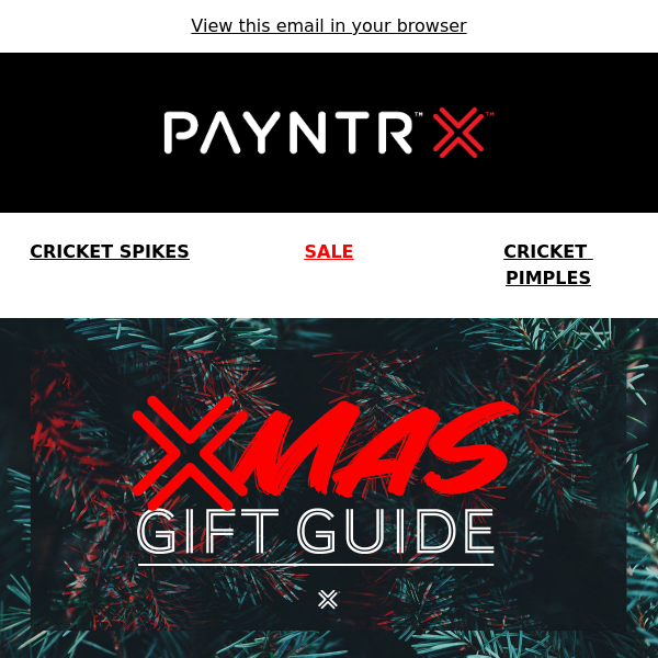 Your PAYNTR Cricket Christmas Gift Guide Is Here! 🏏