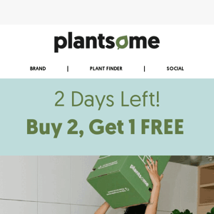 Last 2 Days to Save 🌱