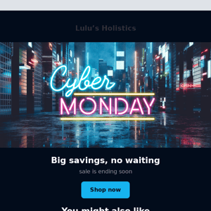 Why Stop Shopping Now? It’s Cyber Monday!