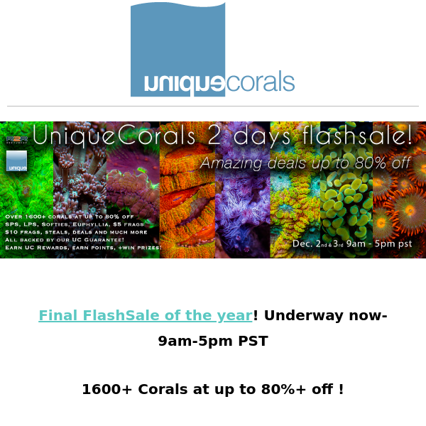 1600+ WYSIWYG corals at up to 80%+ off ! Final Flashsale of the year underway now ! 9am-5pm PST, 12/2-12/3 sale  ﻿ ﻿ 　　