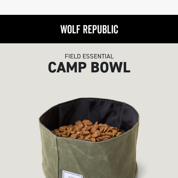 The Travel Bowl You've Been Waiting For