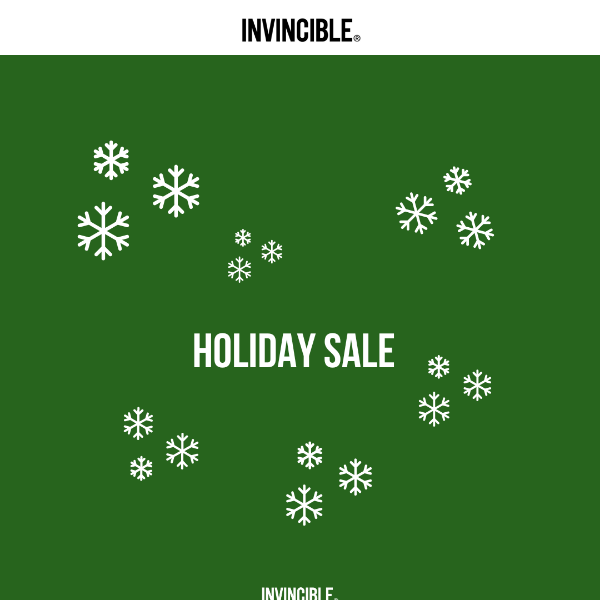🎅 Holiday SALE Starts Now