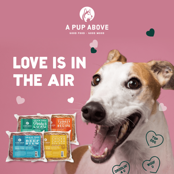 Get 1LB FREE for the pup you love!