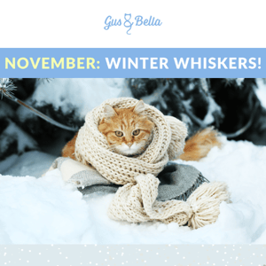 ❄️ NEW BOX: Winter Whiskers