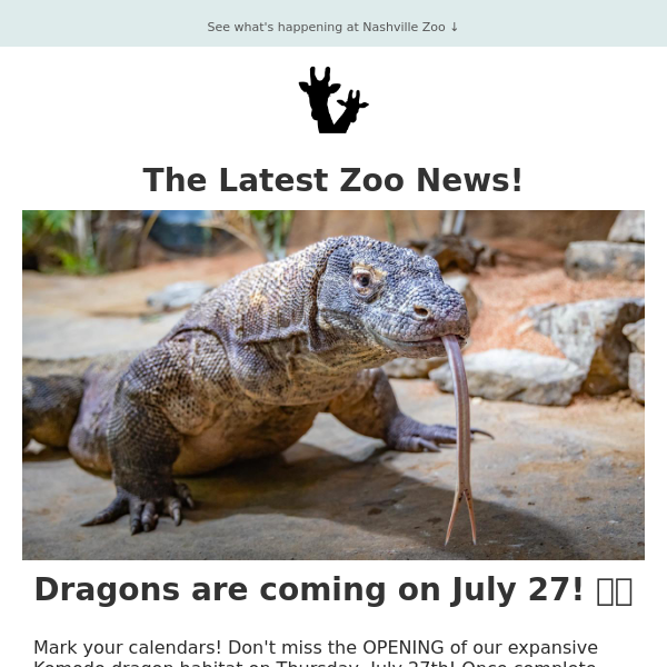Komodo dragons take center stage at Nashville Zoo - Axios Nashville