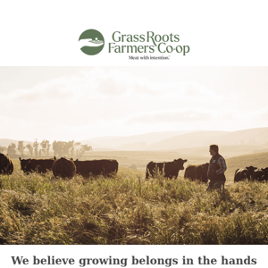 Meat with Intention. Sustainability from our farms to your front door.