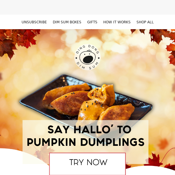 Limited Edition Pumpkin Dumplings Launch This Weekend!