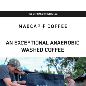 What is a anaerobic washed coffee?