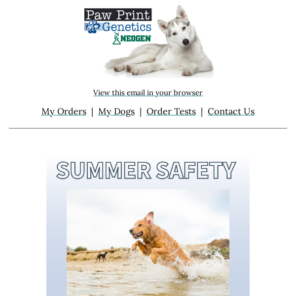 Introducing our Summer Safety Series!🐾