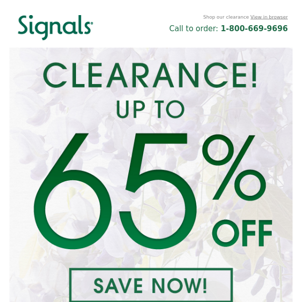 Up To 65% Off!