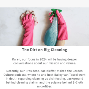 The Dirt on Big Cleaning