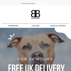 Free UK Delivery for 24 hours Bully Billows 🎁