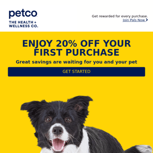 Save 20% on health & wellness picks for your pet.