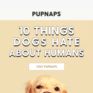 [Pupnaps Education] 3 things dogs hate about you