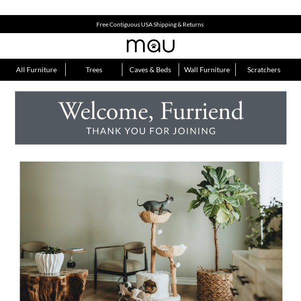 Welcome to the world of Mau!