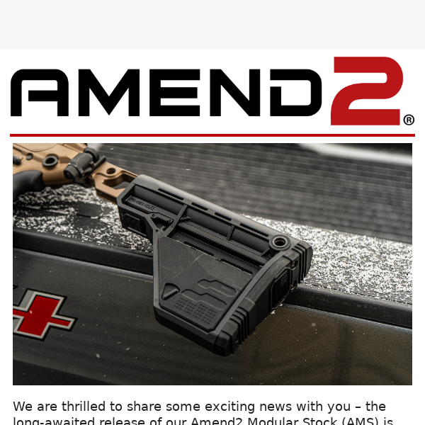 Introducing the Amend2 Modular Stock For Sale!