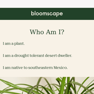 Who Am I? 👀🌿🔍🕵️