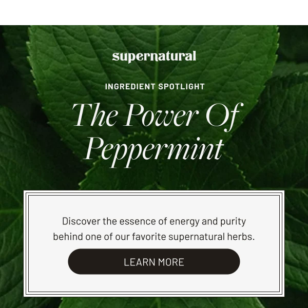 Supernatural Spotlight: Peppermint 🌿