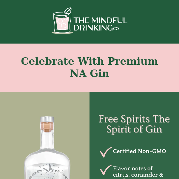 The Mindful Drinking Co, Gin: Making Ordinary Moments Extraordinary